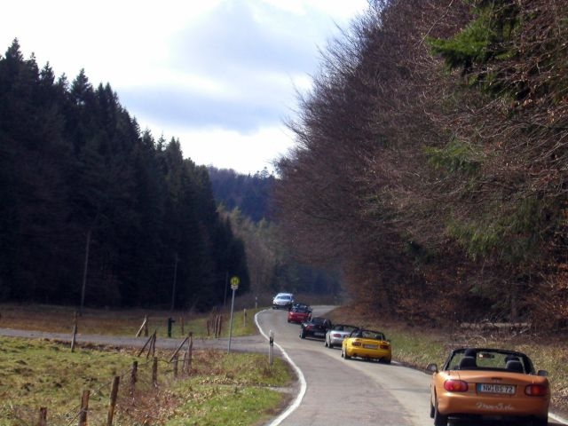 P3140037.jpg