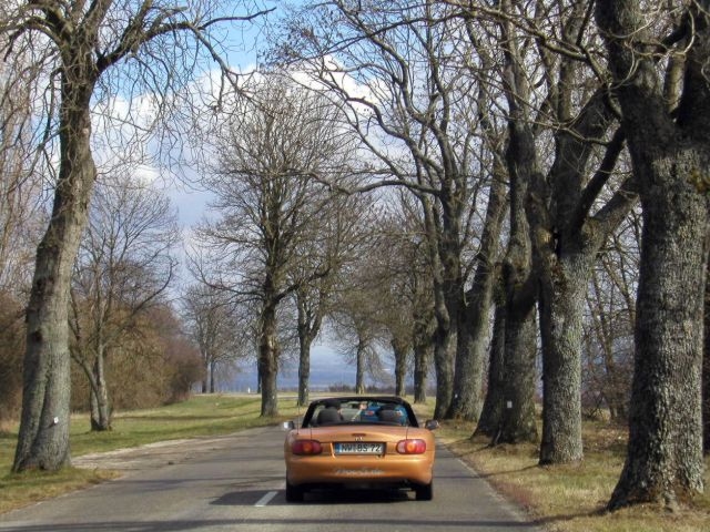 P3140052.jpg