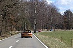 P3140041.jpg